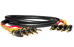 MOGAMI (モガミ) 3104 w/VIABLUE PLUG Bi-Amping