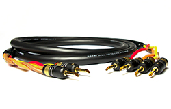 MOGAMI (モガミ) 3104 w/VIABLUE PLUG Bi-Wire